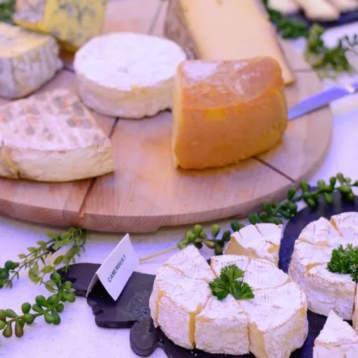Plateau de fromages affinés avec camembert, bleu et pâtes pressées